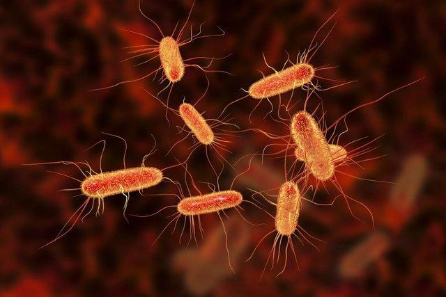 آنتی بیوتیک طبیعی برای مقابله با باکتری های مقاوم