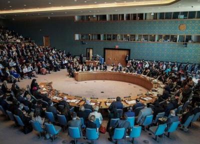 پیش نویس قطعنامه شورای امنیت درباره لیبی با نگاه به کنفرانس برلین