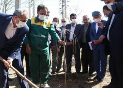 قمی ها برای نشان دادن پیوند دوستی با هم، درخت بکارند