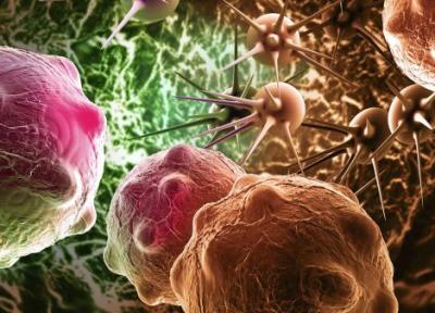 سلول های سرطانی نیز از فناوری نانو استفاده می نمایند!