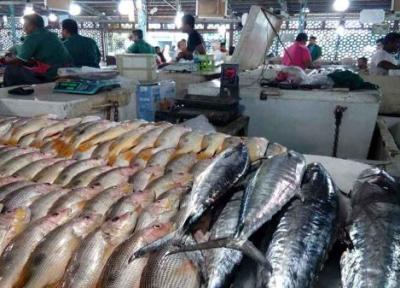 قیمت انواع ماهی در میادین امروز 25 دی 1400