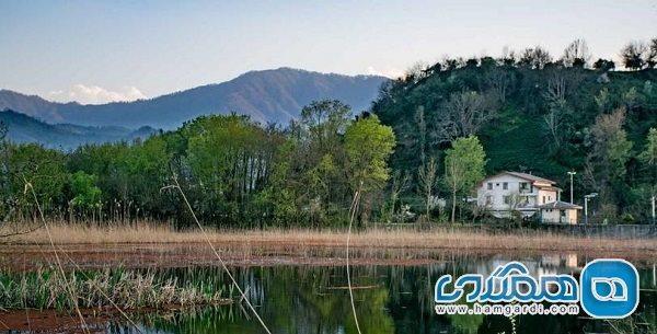تالاب زربیجار یکی از جاذبه های طبیعی استان گیلان است